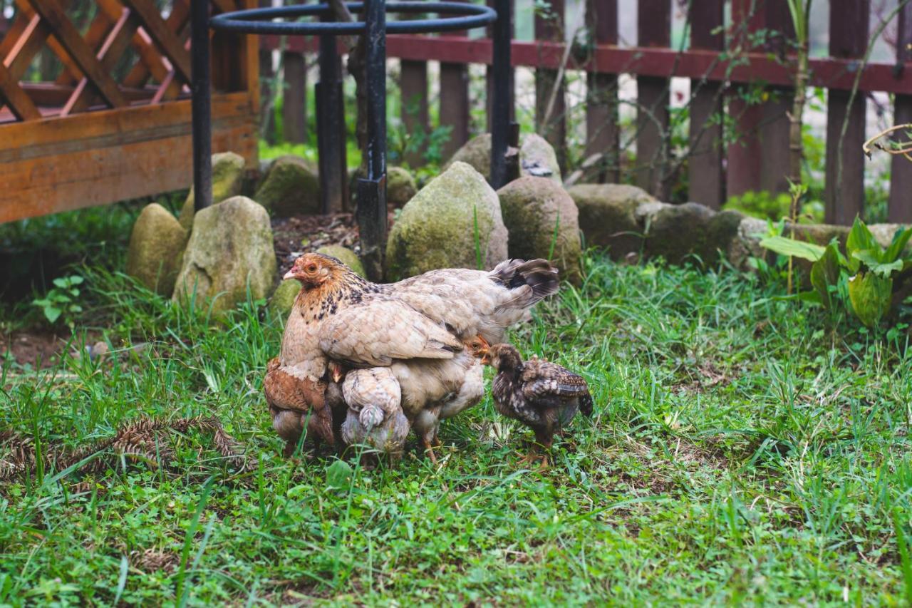 Homestay So 91-Suoi Ho Sapa Εξωτερικό φωτογραφία