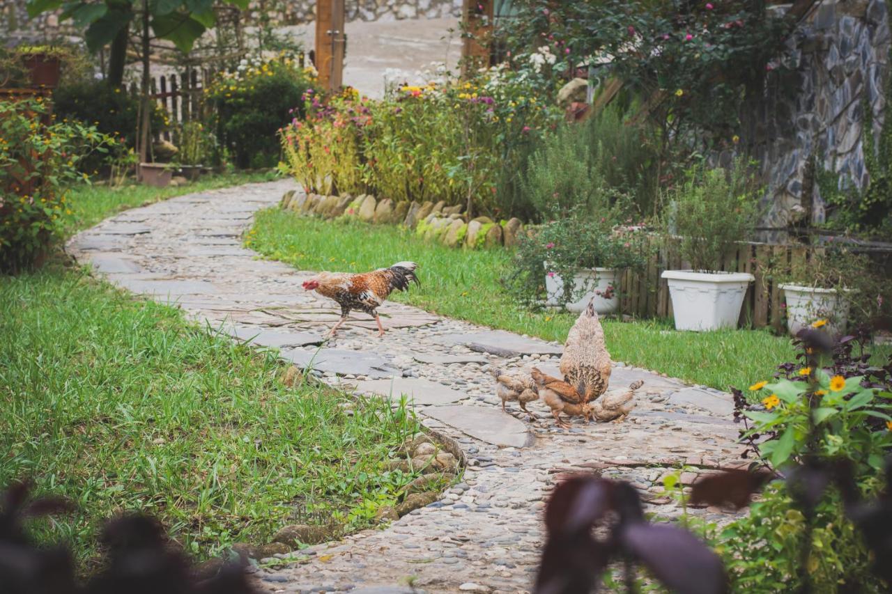 Homestay So 91-Suoi Ho Sapa Εξωτερικό φωτογραφία