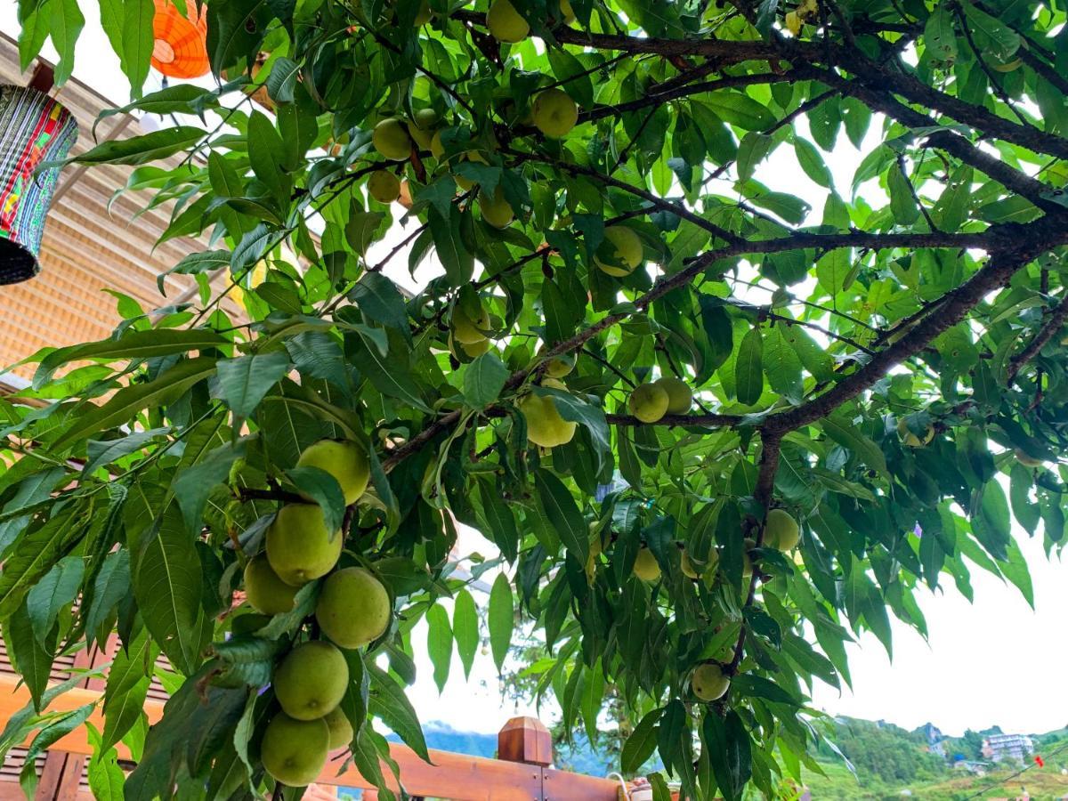 Homestay So 91-Suoi Ho Sapa Εξωτερικό φωτογραφία