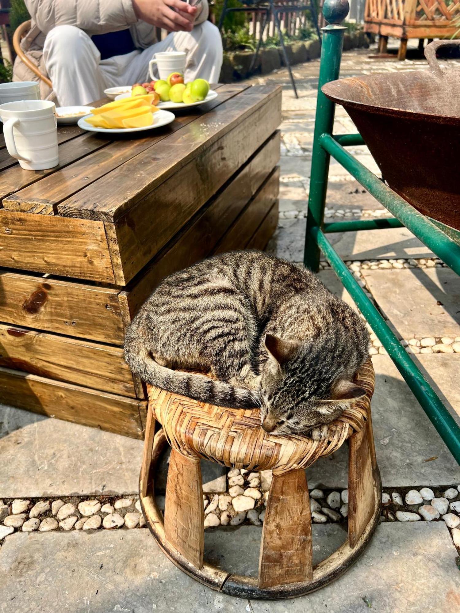 Homestay So 91-Suoi Ho Sapa Εξωτερικό φωτογραφία
