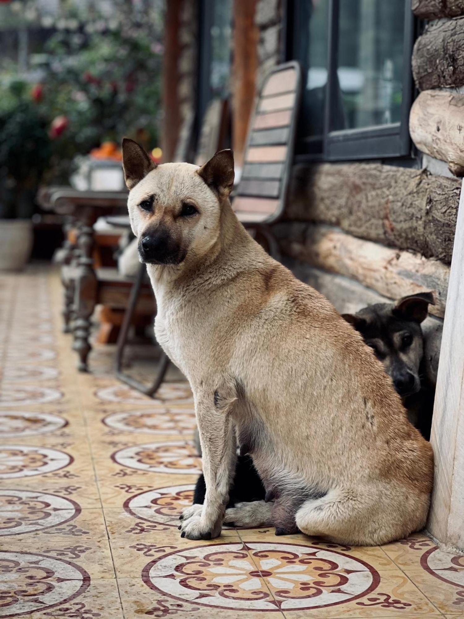 Homestay So 91-Suoi Ho Sapa Εξωτερικό φωτογραφία