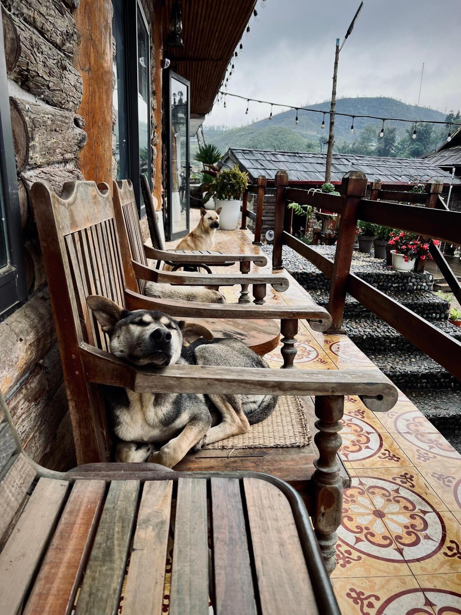 Homestay So 91-Suoi Ho Sapa Εξωτερικό φωτογραφία