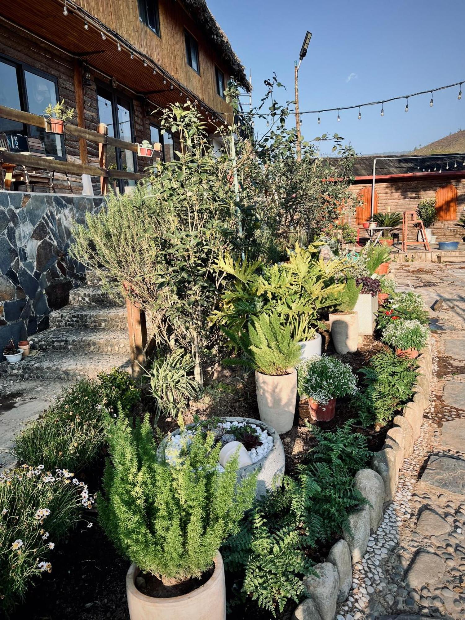 Homestay So 91-Suoi Ho Sapa Εξωτερικό φωτογραφία