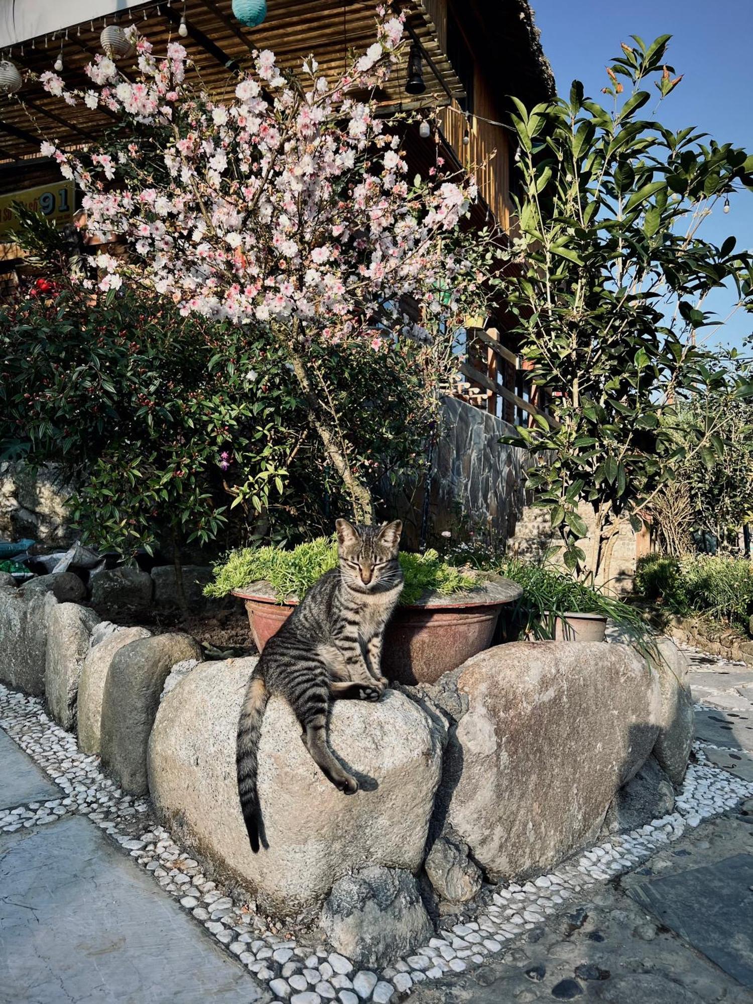 Homestay So 91-Suoi Ho Sapa Εξωτερικό φωτογραφία